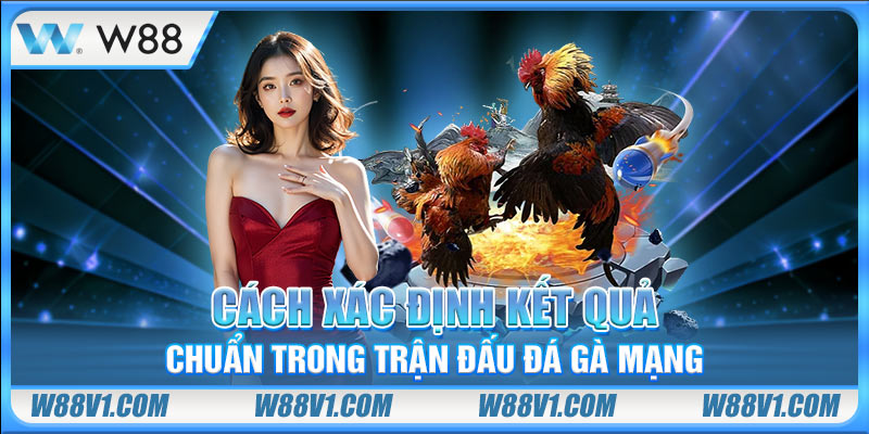 Cách xác định kết quả chuẩn trong trận đấu đá gà mạng