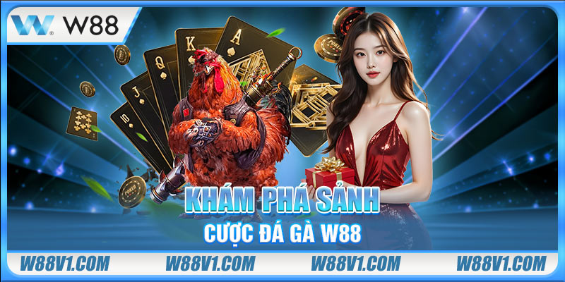 Khám phá sảnh cược đá gà W88