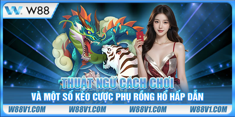 Thuật ngữ cách chơi và một số kèo cược phụ Rồng Hổ hấp dẫn