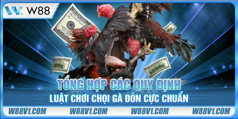 Tổng hợp các quy định luật chơi chọi gà đòn cực chuẩn